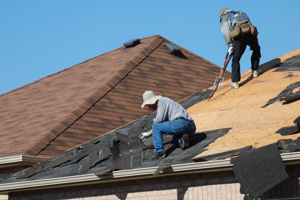 Best Skylight Installation and Repair  in Fairburn, GA