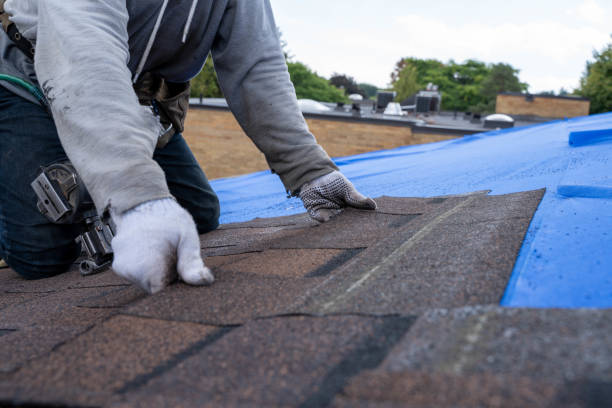 Best Roof Insulation Installation  in Fairburn, GA